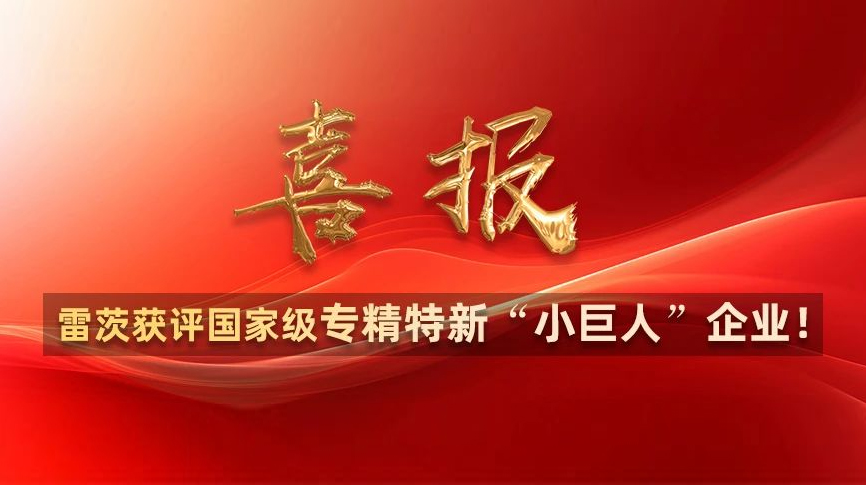 喜報：雷茨獲評國家級專精特新“小巨人”企業(yè)！